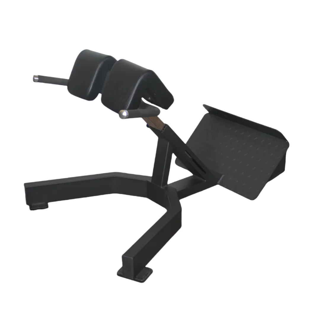 Home Gym Price - كرسي روماني لتمارين الظهر بسعر المصنع،