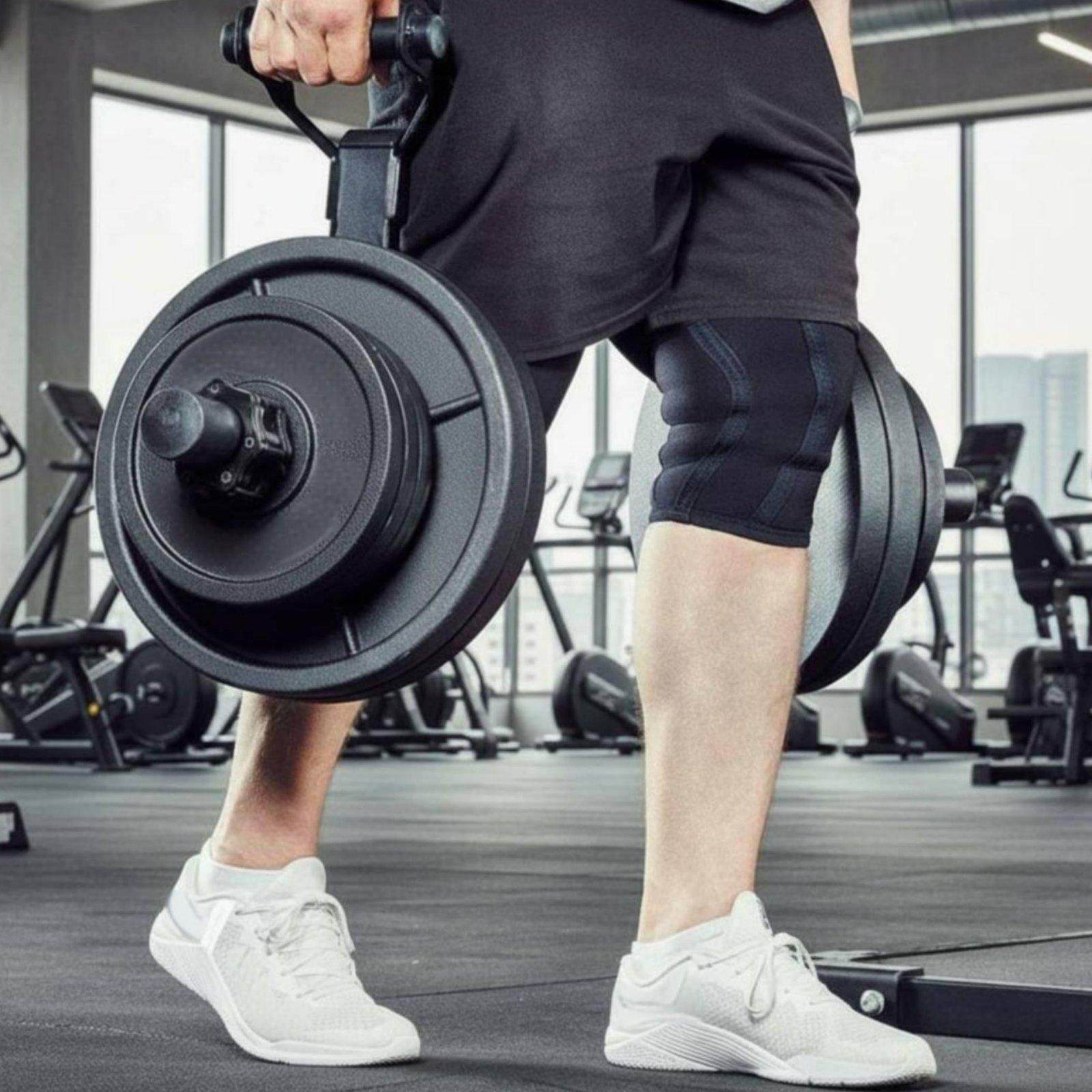 حامل أقراص الأوزان متعدد الأحج - مراجعة Home Gym Equipment وسعره