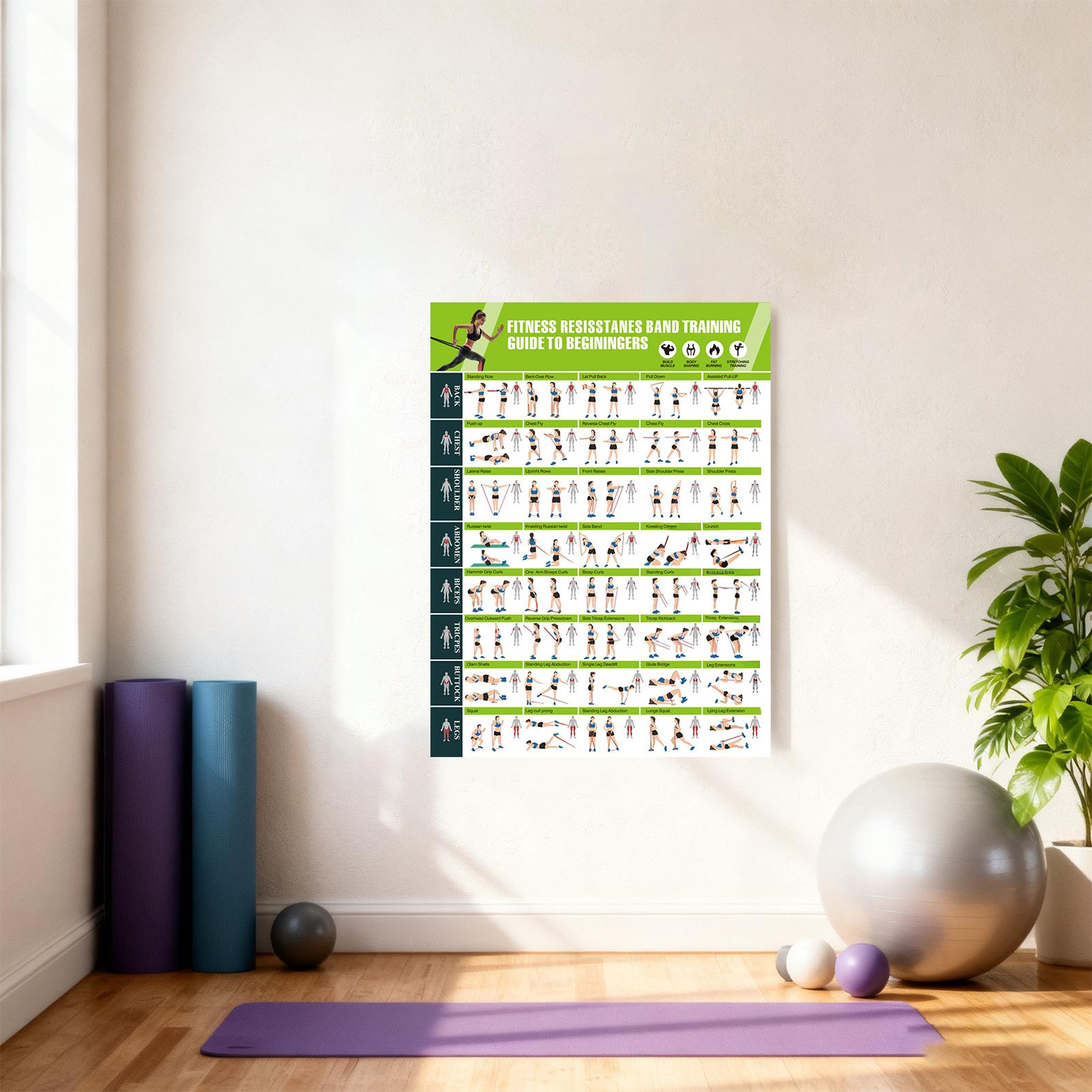 ملصقات تمارين رياضية مع دليل ل - مراجعة Home Gym Guide وسعره