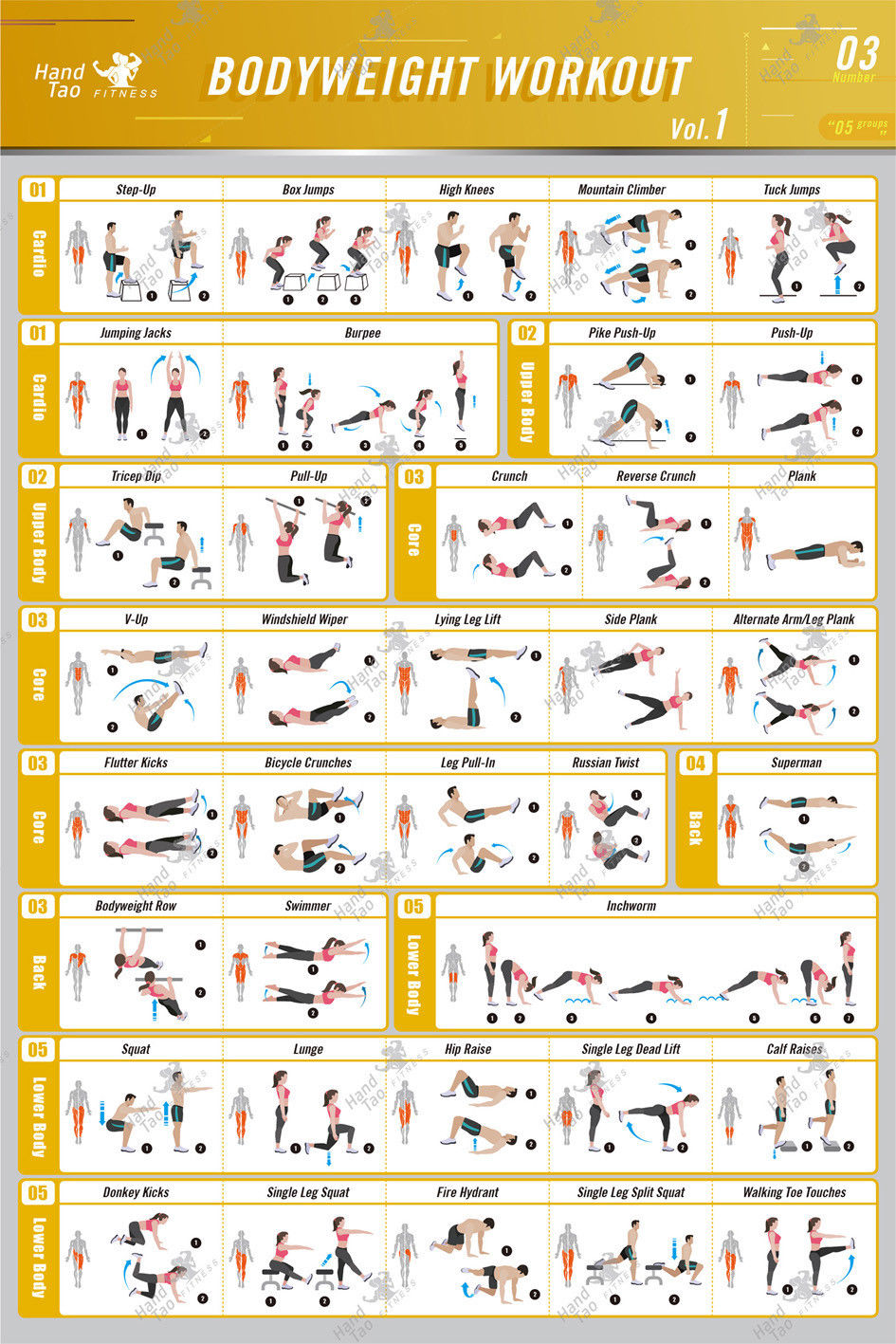 تمرينات بوزن الجسم، دليل تماري - مراجعة Home Gym Guide وسعره