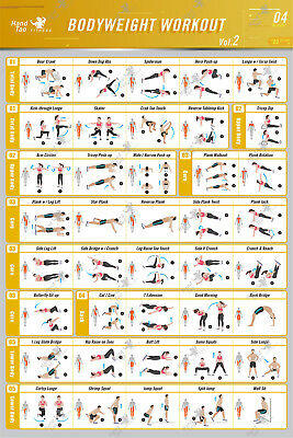 تمرينات بوزن الجسم، دليل تماري - مراجعة Home Gym Guide وسعره