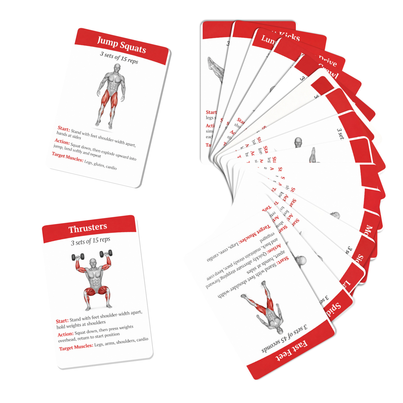 36 قطعة من بطاقات توجيه التمار - مراجعة Home Gym Guide وسعره